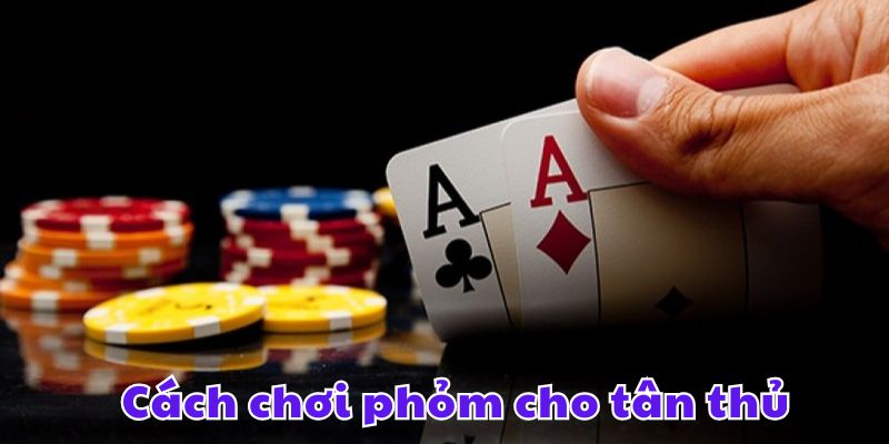 Cách chơi phỏm cho tân thủ