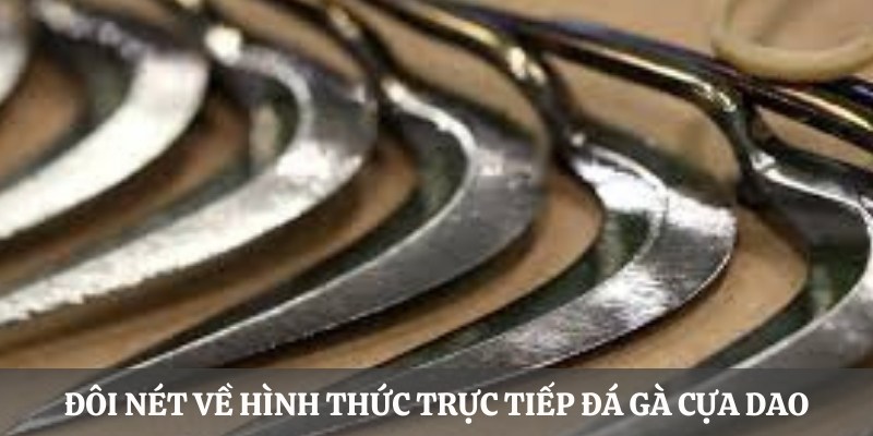 Đôi nét về hình thức cá cược trực tiếp đá gà cựa dao